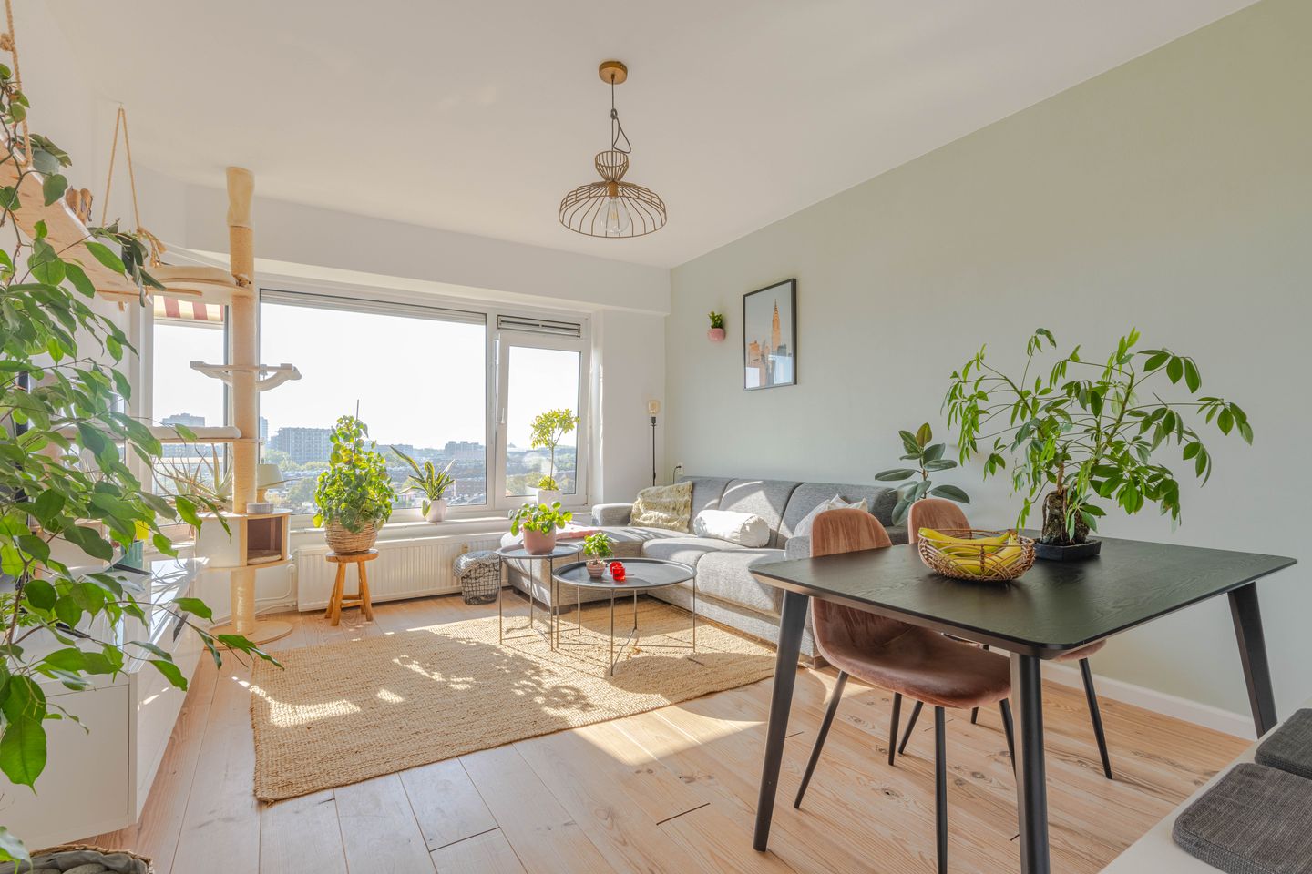 Foto 1 van Zwartewaalstraat 127