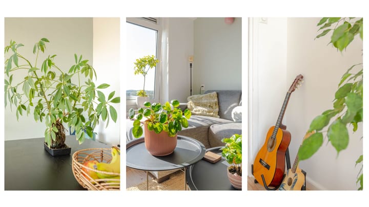 Foto 13 van Zwartewaalstraat 127