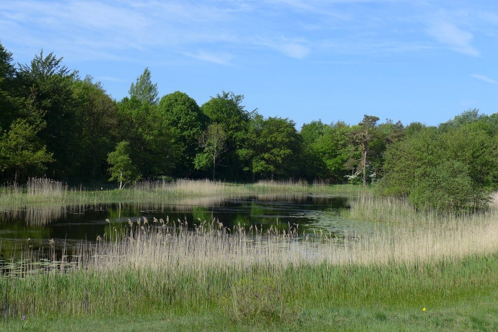 Foto 45 van Meeuwenlaan 9