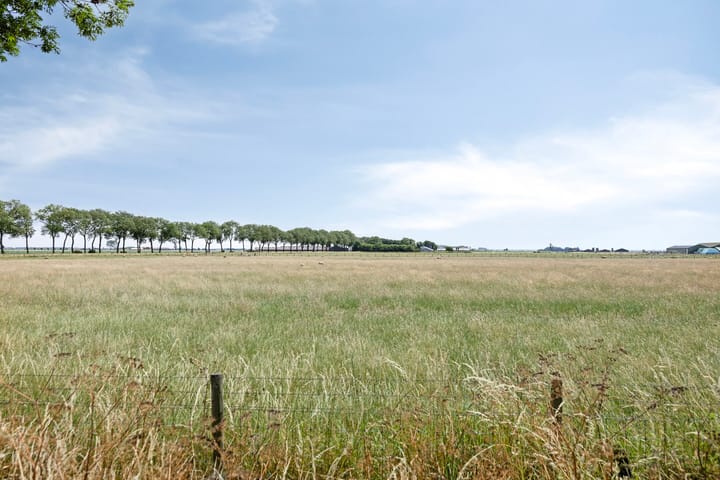 Foto 35 van Dr. Willemsstraat 25