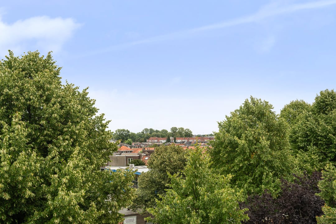 Foto 26 van Hugo de Grootplein 48