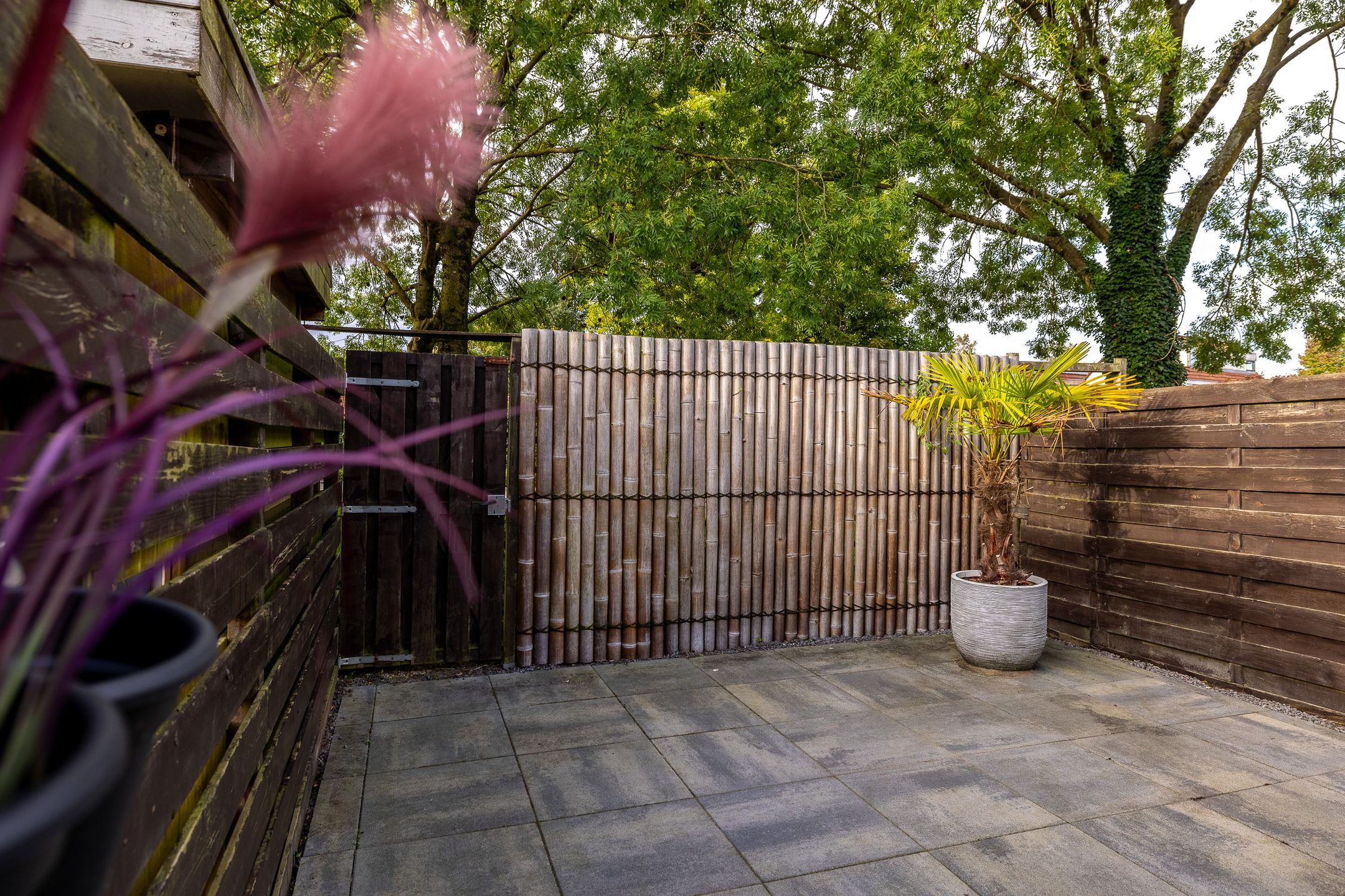 Foto 15 van Schermhorst 14