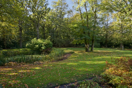 Groot Haesebroekseweg 20 tertiary image