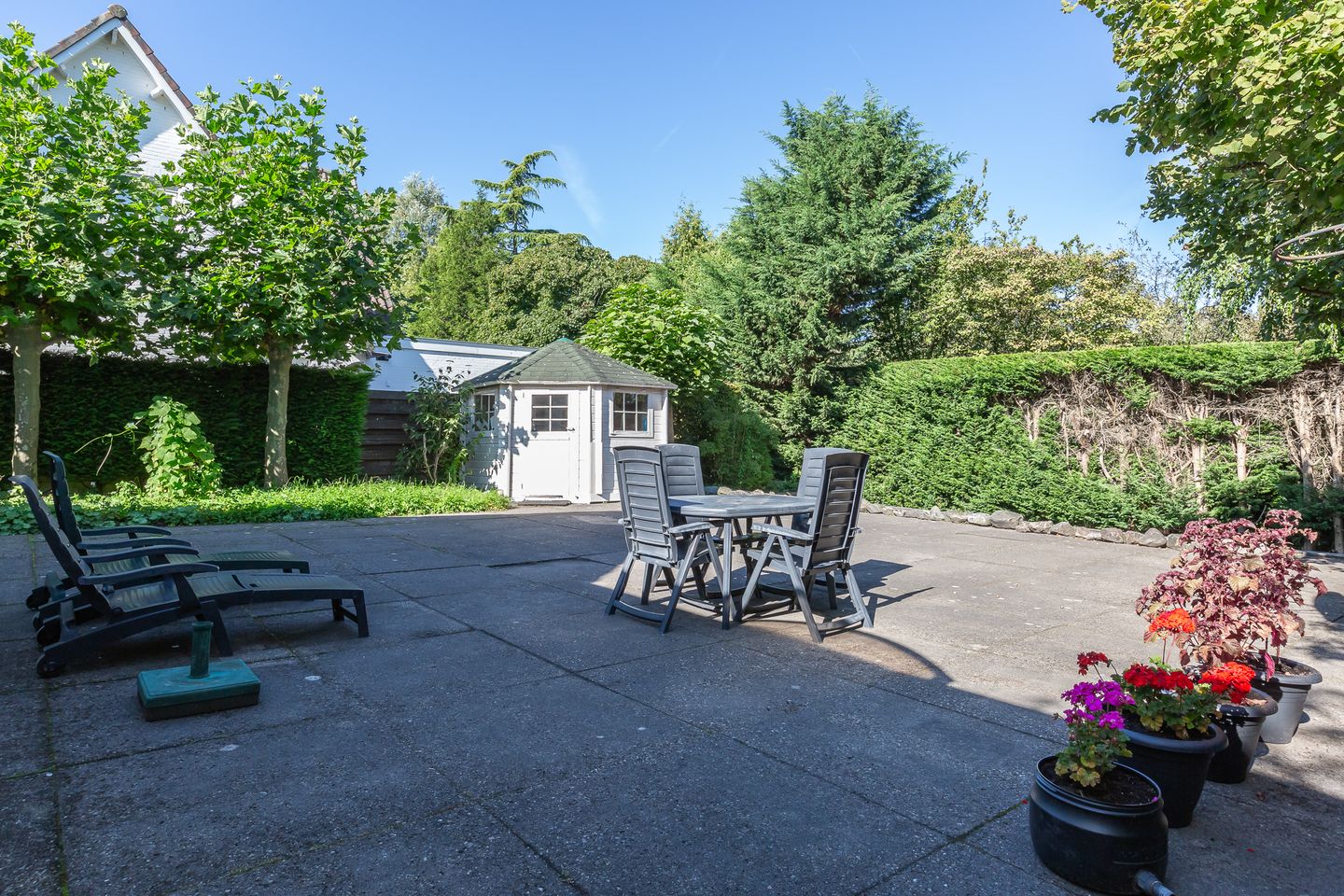 Foto 5 van Wilgenpark 9