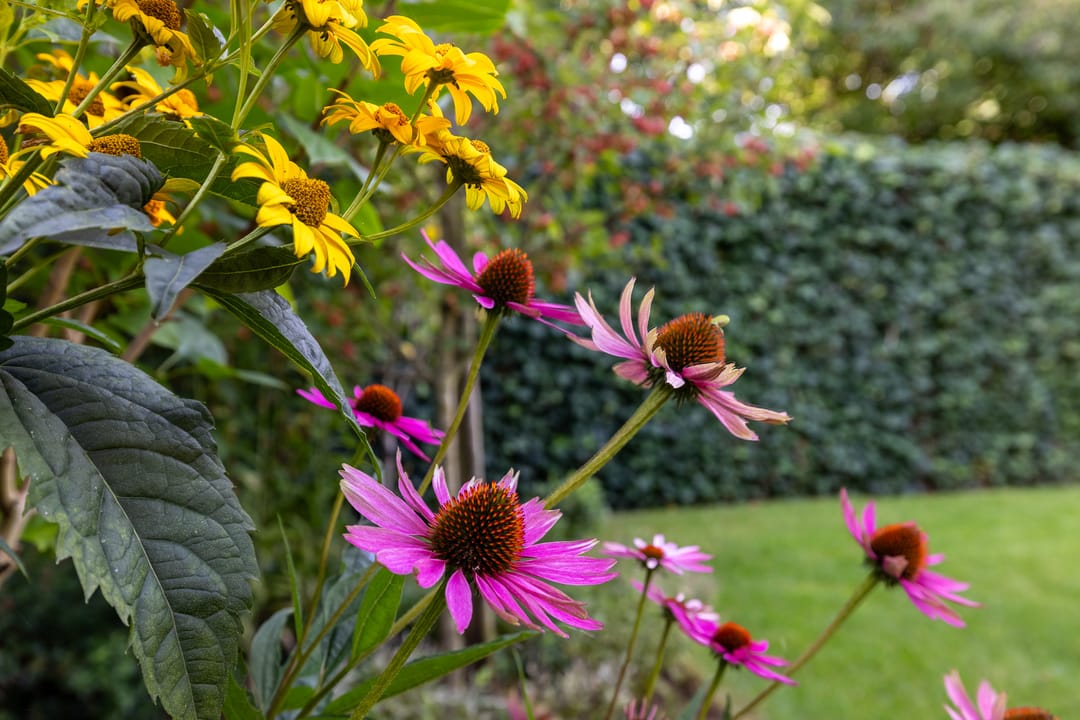 Photo 23 of Uijlenbroeklaan 28