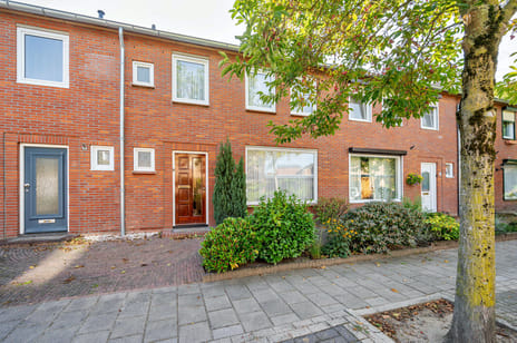 undefined main image