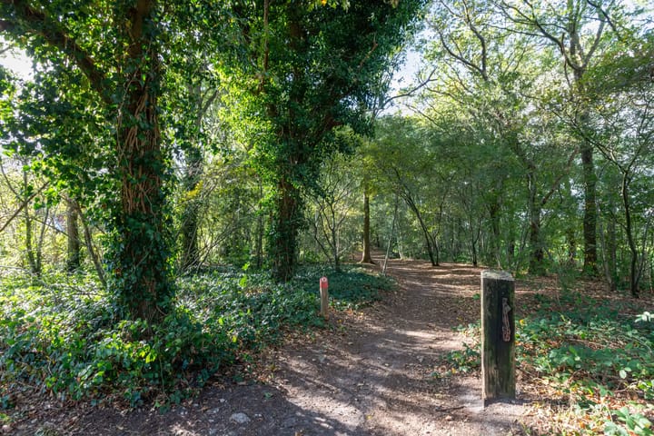 Photo 45 of Jetze Veldstraweg 6