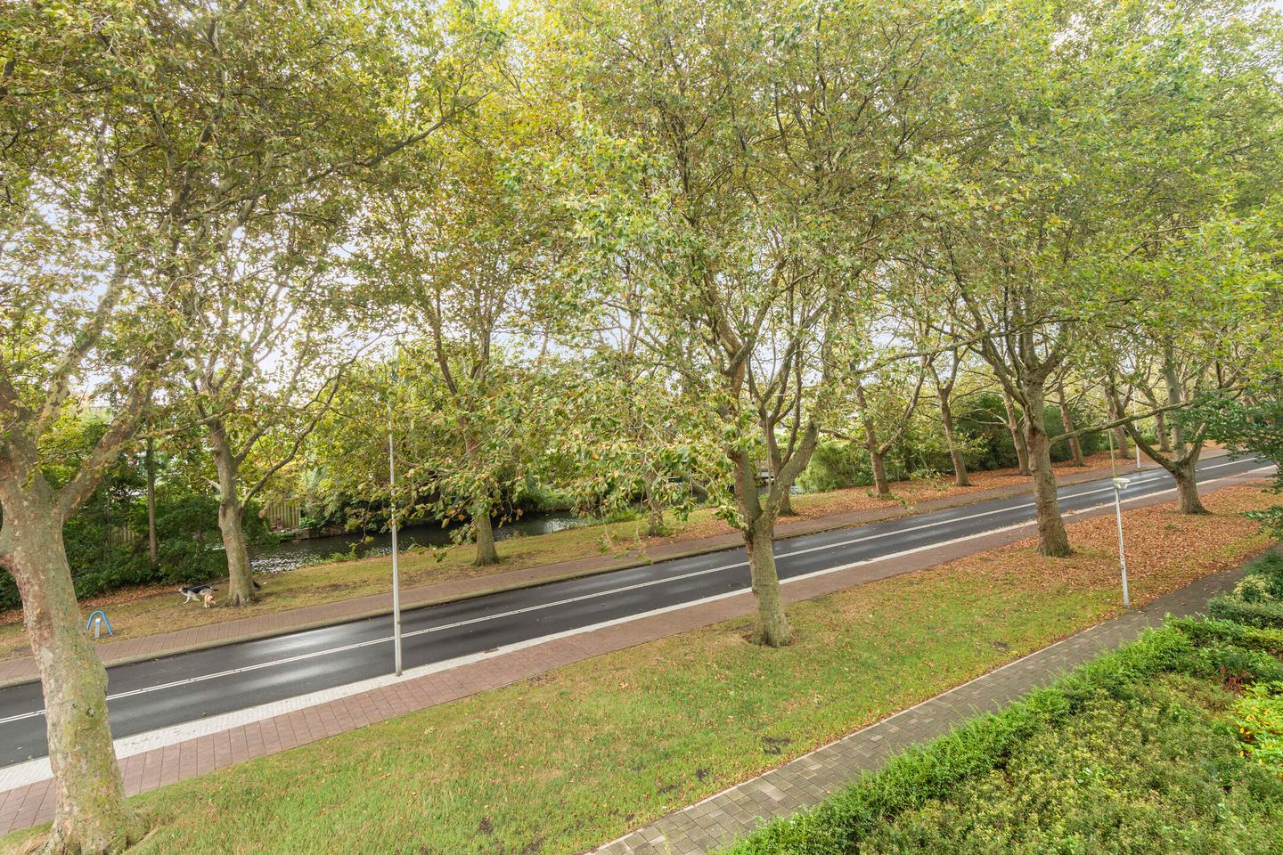 Foto 25 van Louis Couperusplaats 27