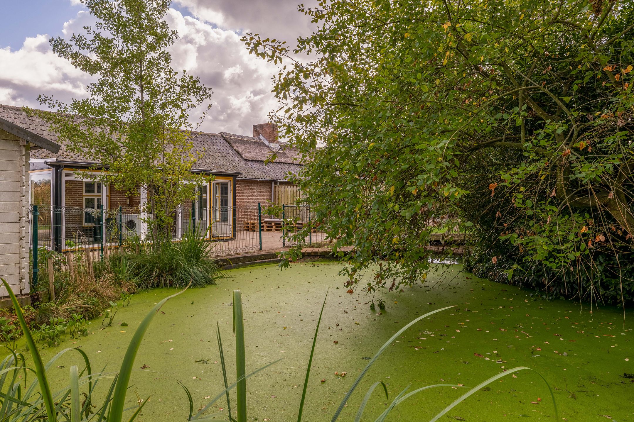 Photo 54 of Everse-Dwarsstraat 5