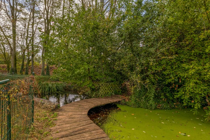 Photo 56 of Everse-Dwarsstraat 5