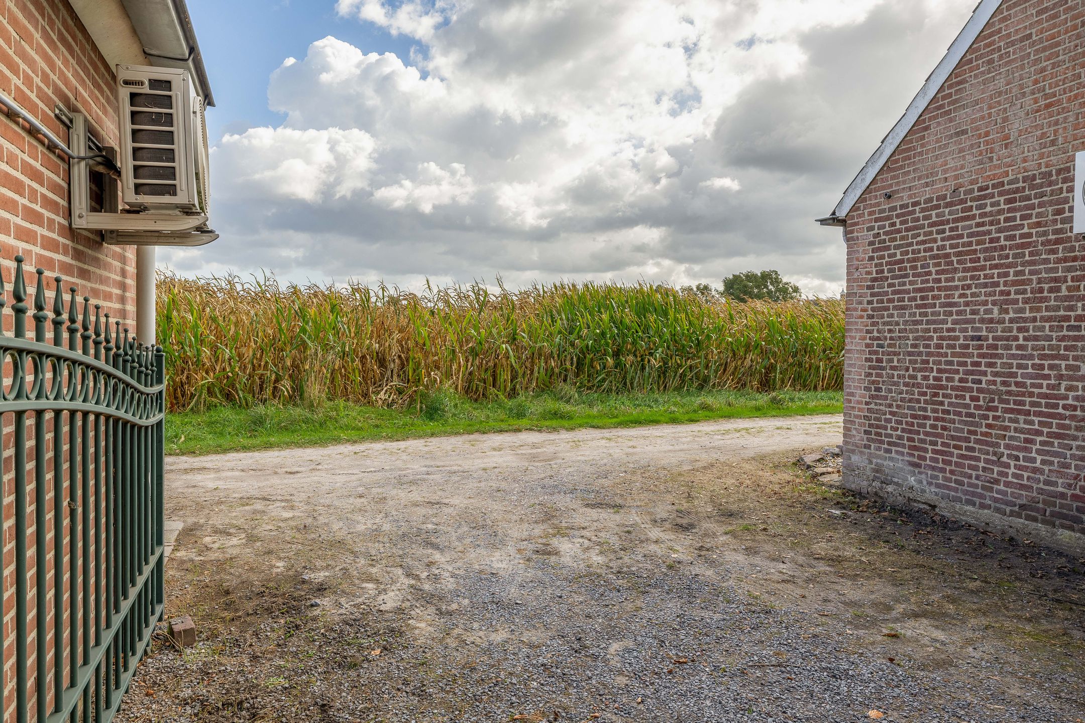 Photo 60 of Everse-Dwarsstraat 5