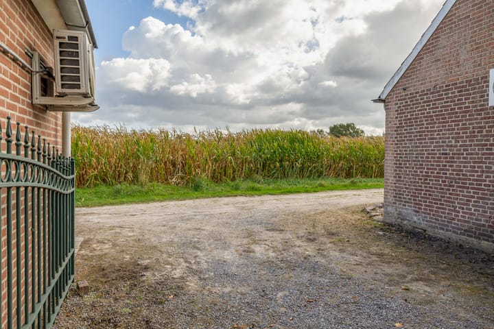 Photo 60 of Everse-Dwarsstraat 5