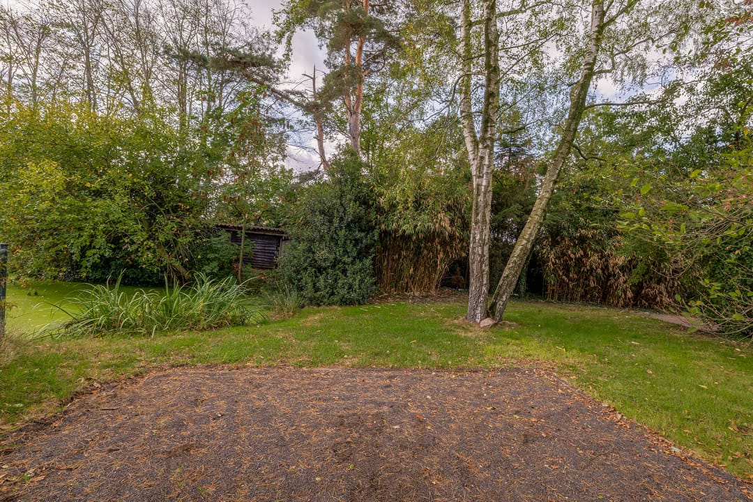 Photo 67 of Everse-Dwarsstraat 5