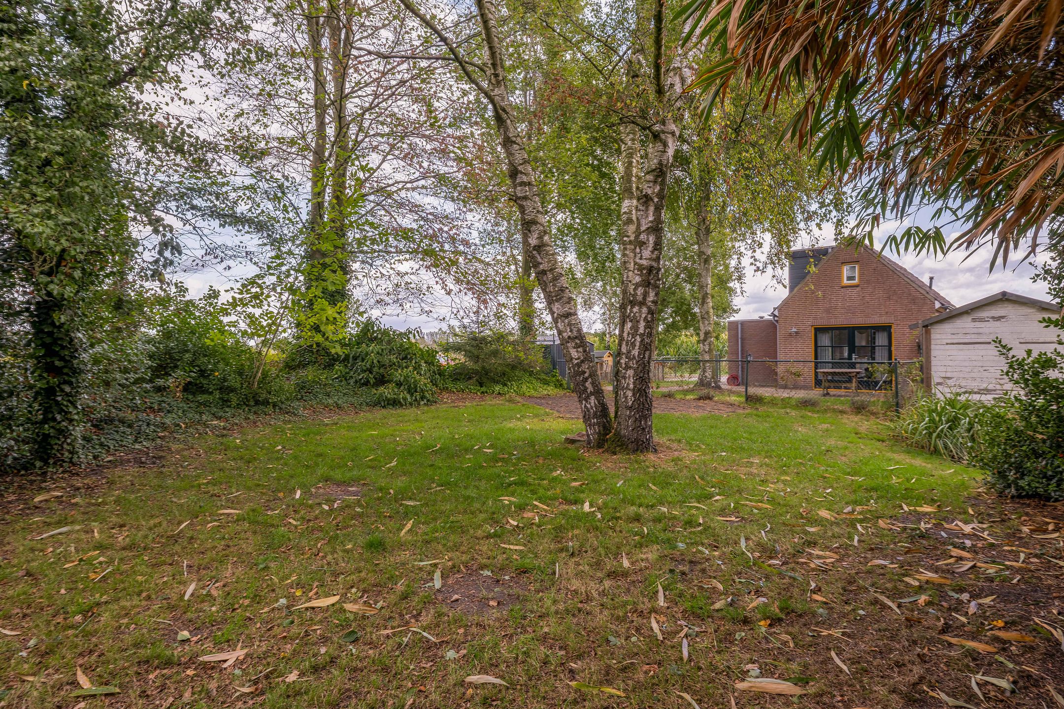 Photo 69 of Everse-Dwarsstraat 5