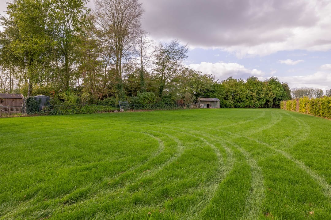 Photo 71 of Everse-Dwarsstraat 5