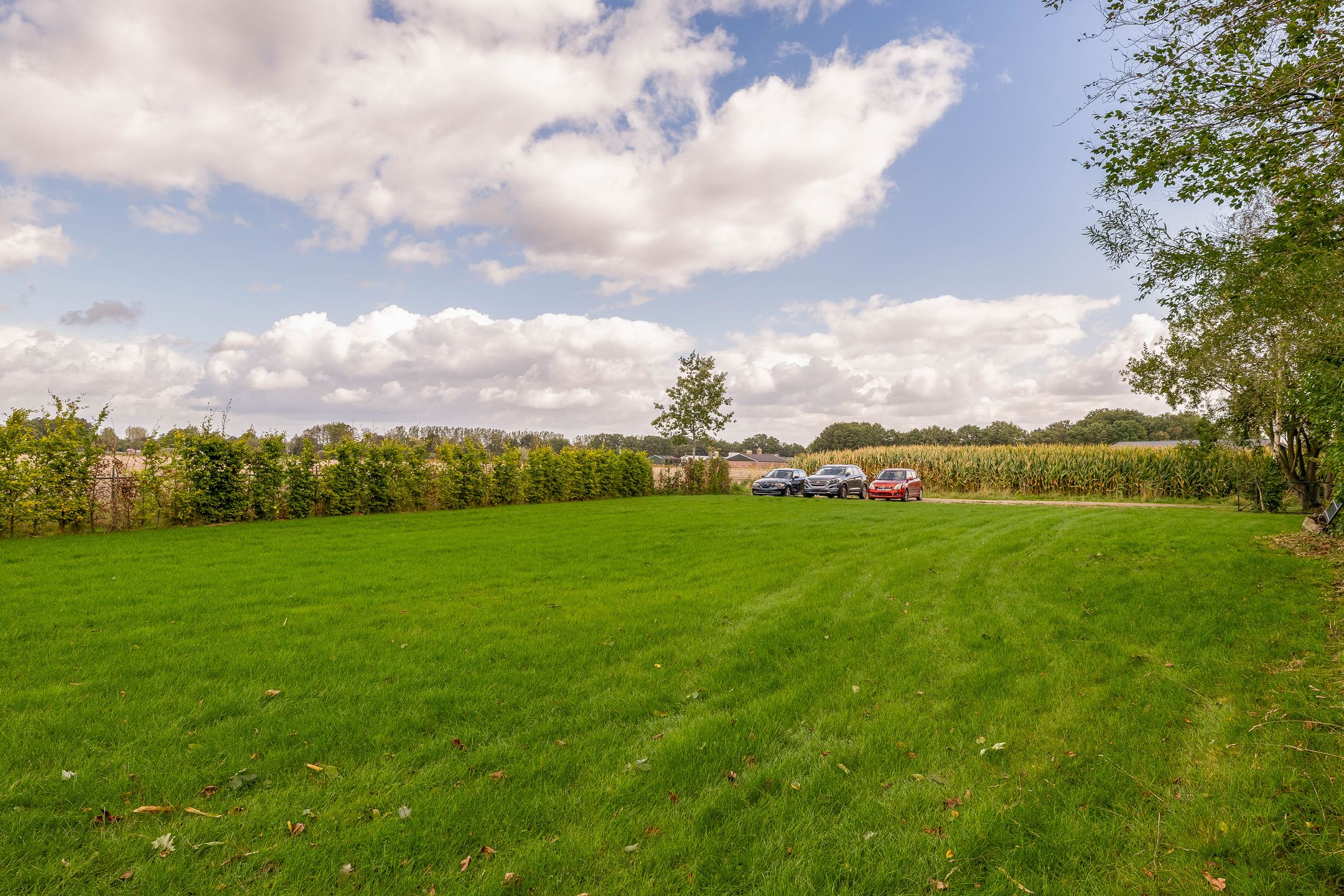 Photo 72 of Everse-Dwarsstraat 5