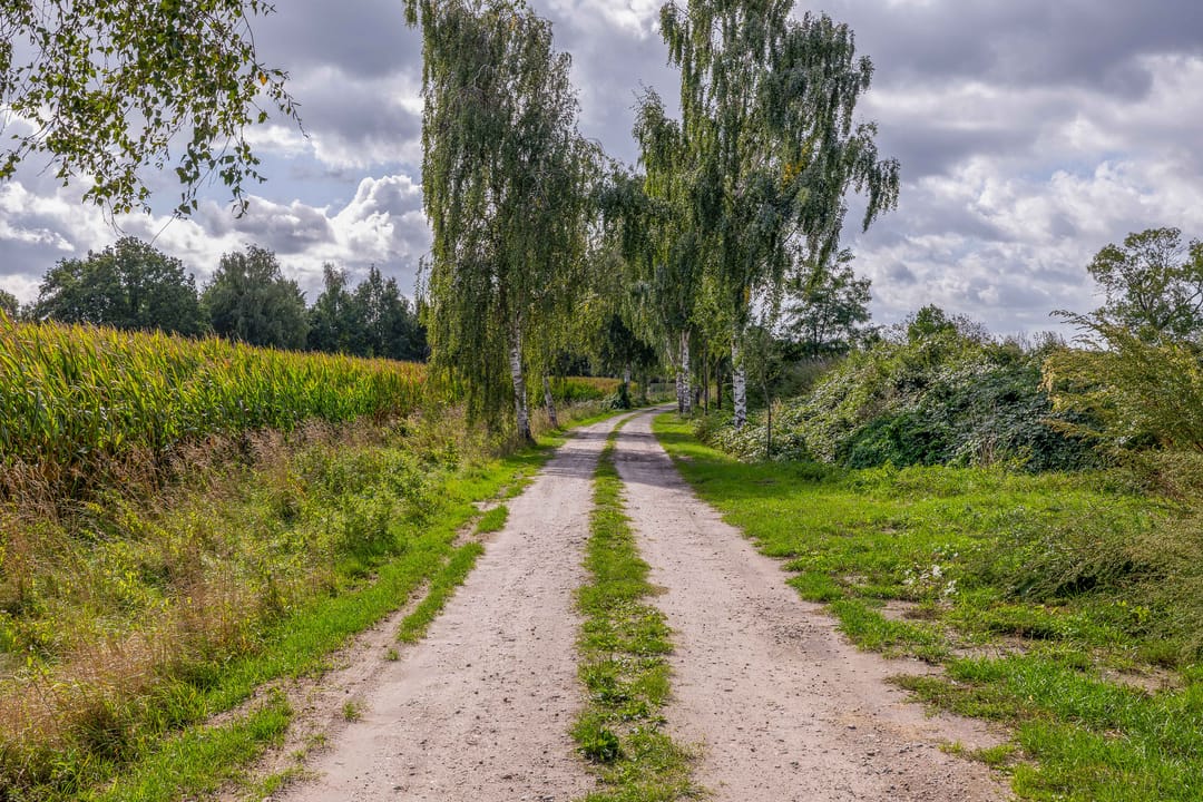 Photo 73 of Everse-Dwarsstraat 5