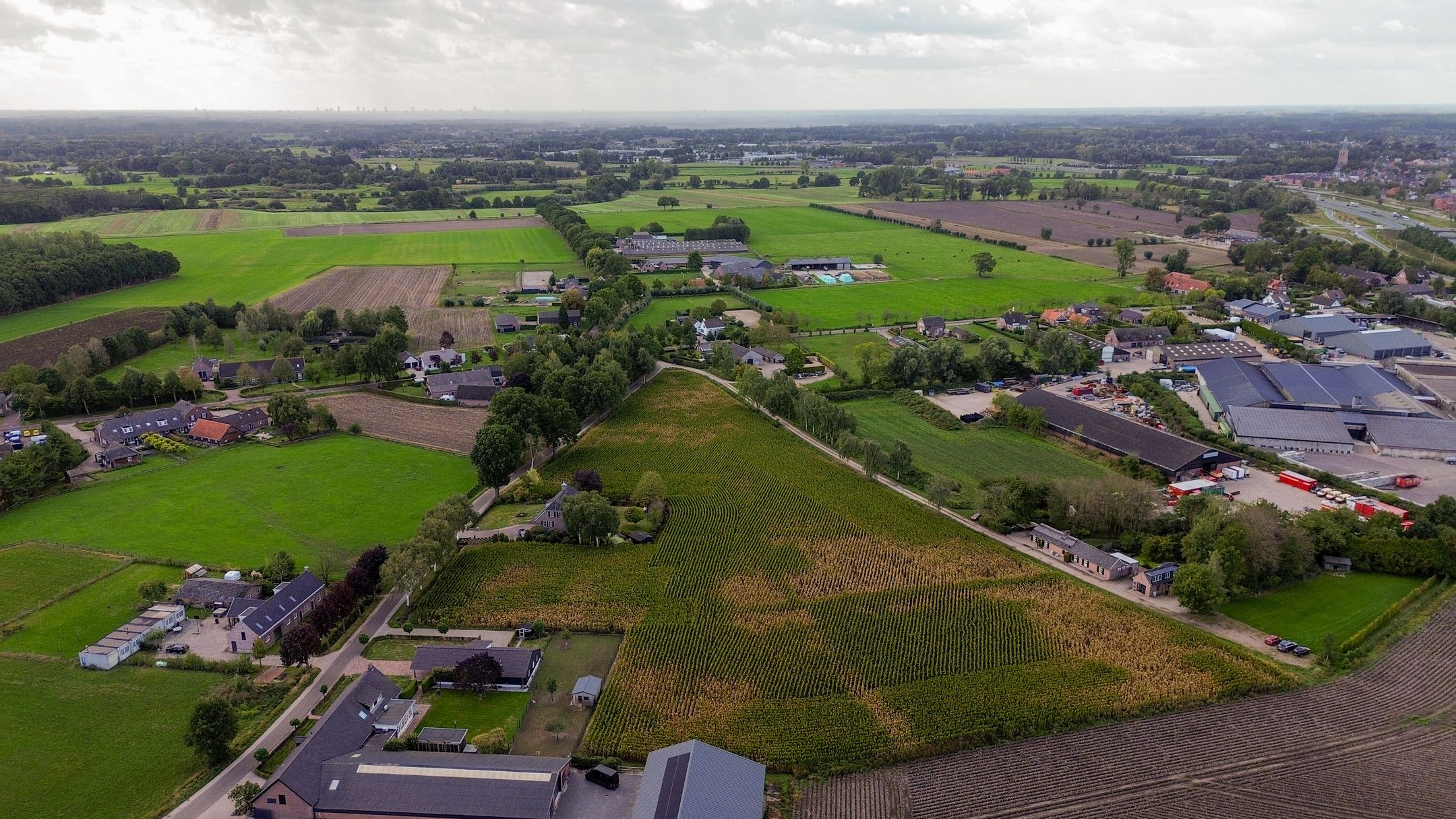 Photo 81 of Everse-Dwarsstraat 5