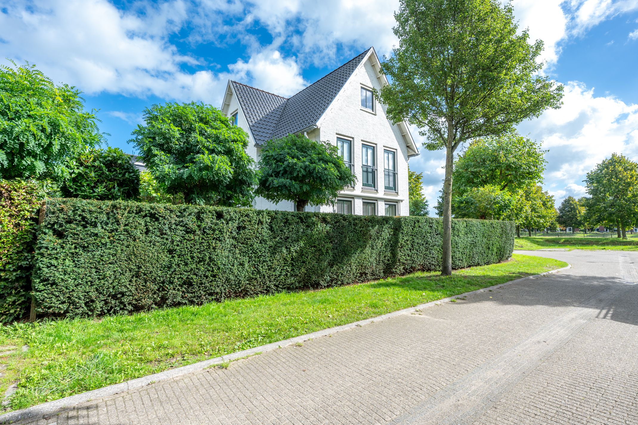 Photo 42 of Sneeuwwater 13