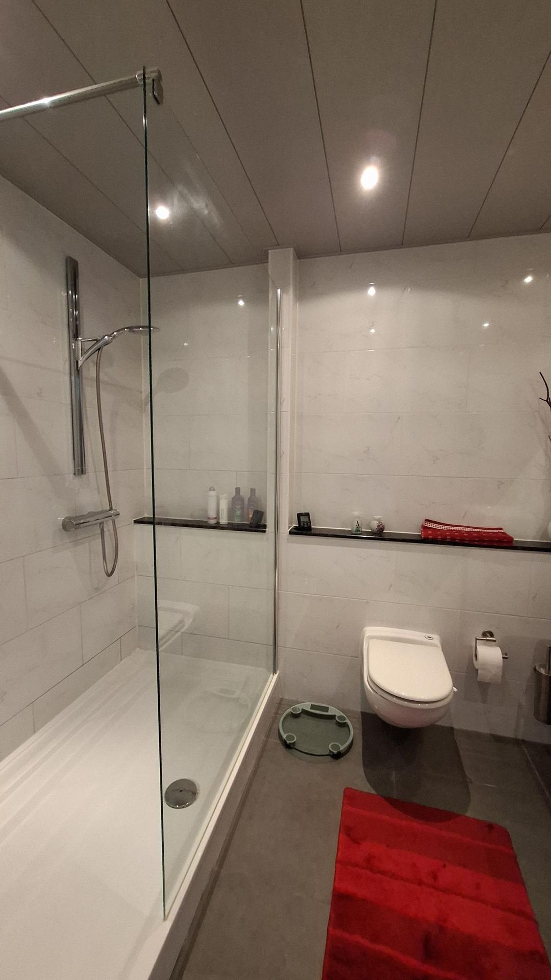 Foto 8 van Snoekenveen 622