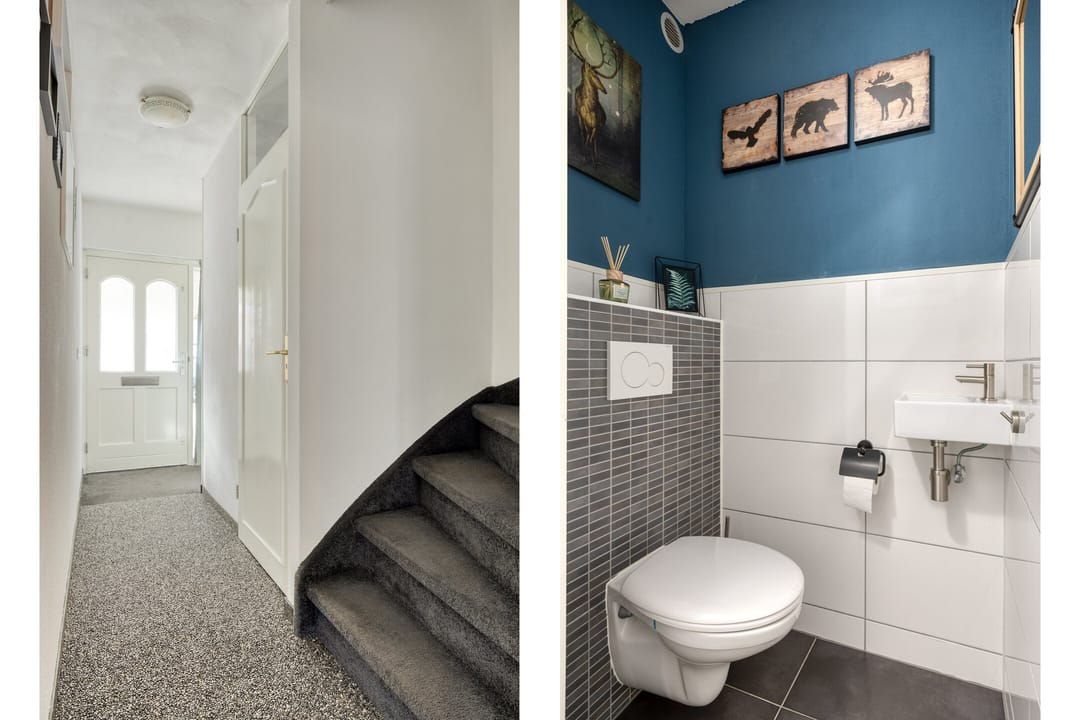 Foto 7 van Oranjetip 13