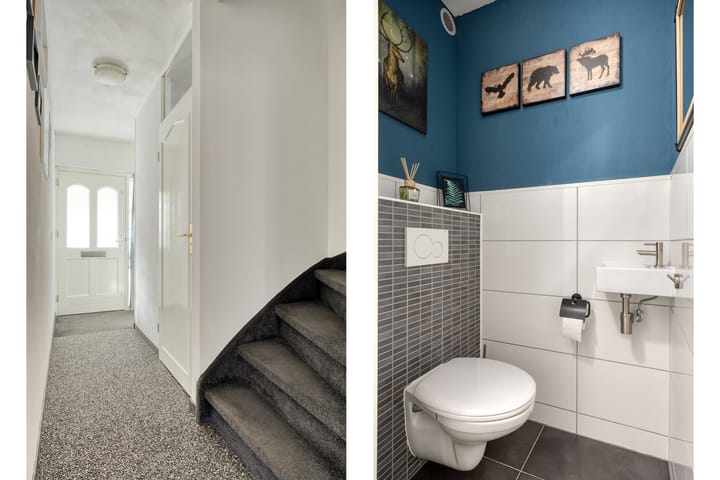 Photo 7 of Oranjetip 13