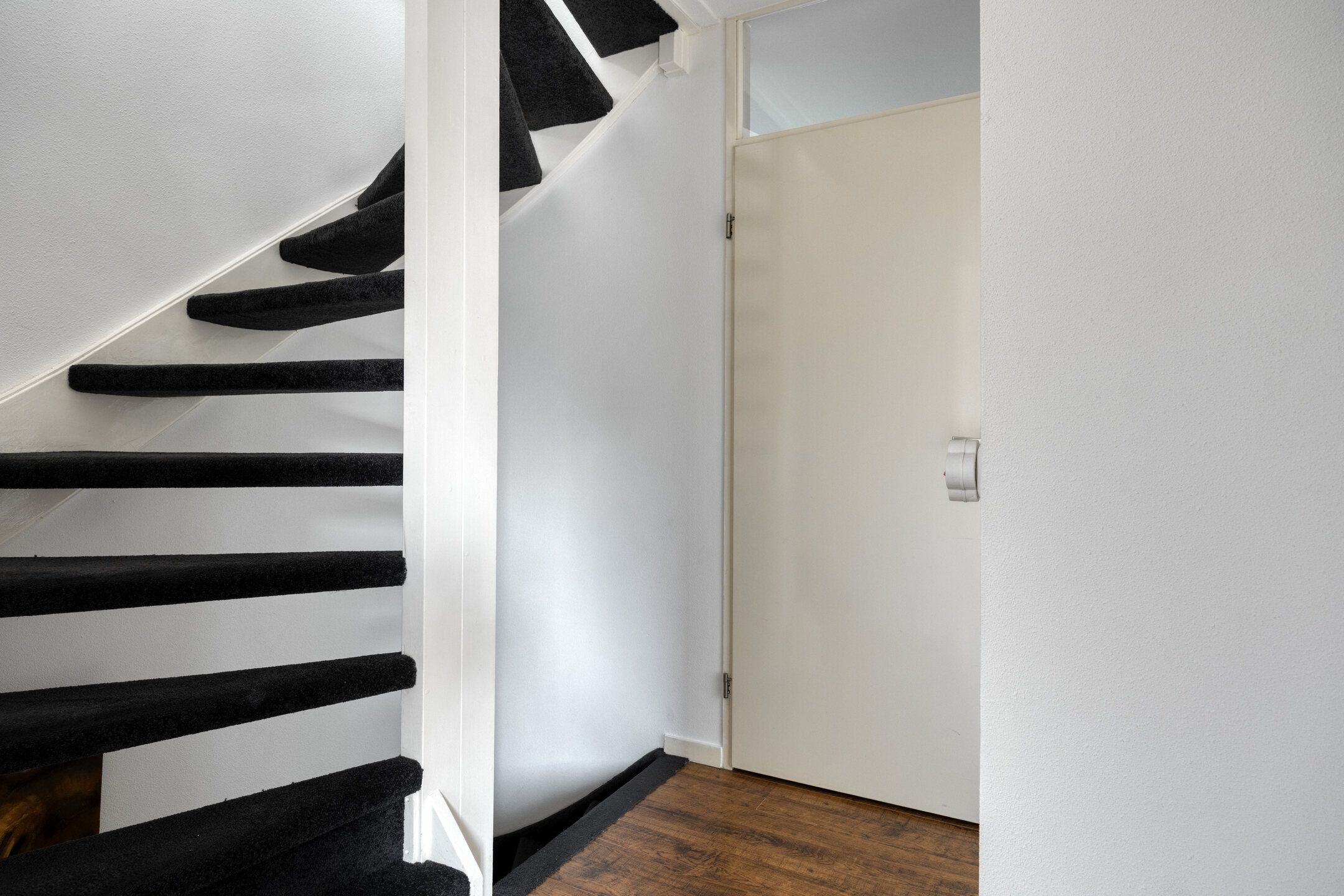 Foto 24 van Oranjetip 13