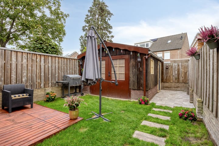 Photo 29 of Oranjetip 13