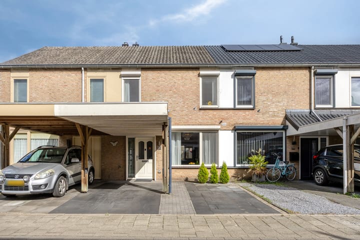 Photo 32 of Oranjetip 13