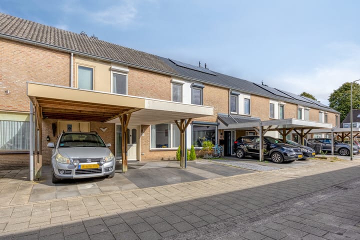 Photo 33 of Oranjetip 13