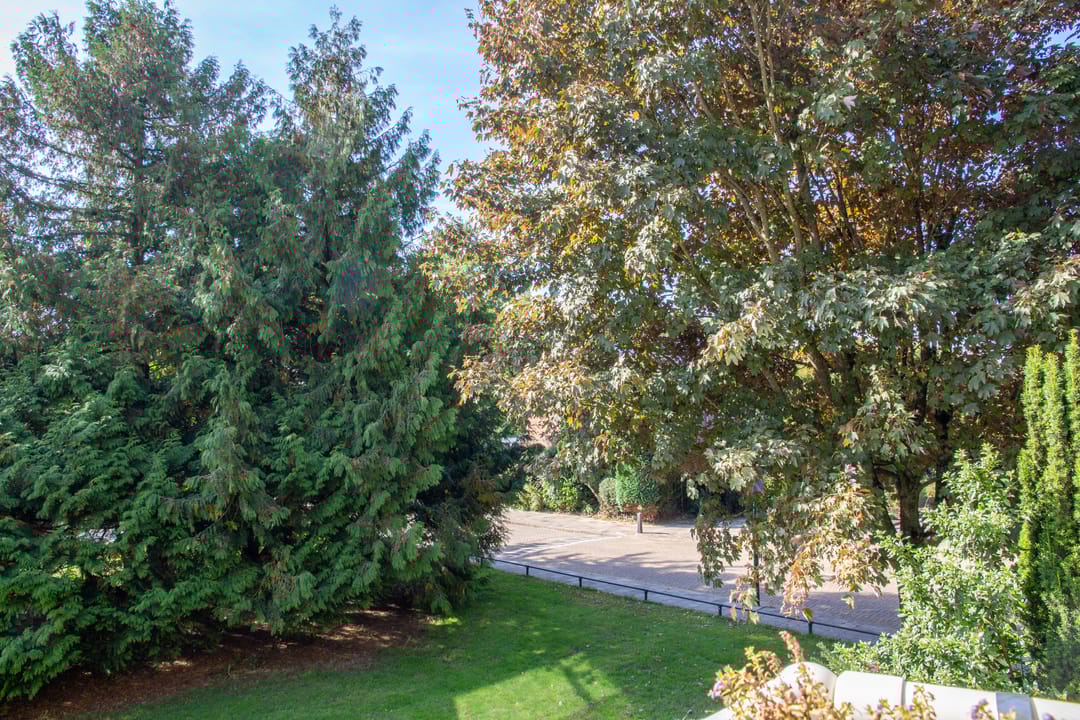 Foto 32 van Soestdijkseweg Zuid 87-B6