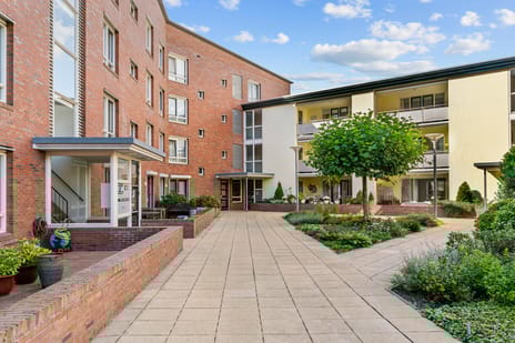 undefined main image