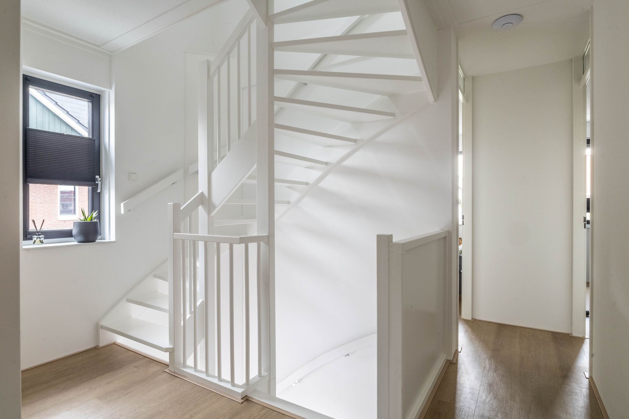 Foto 30 van Vlotgras 29