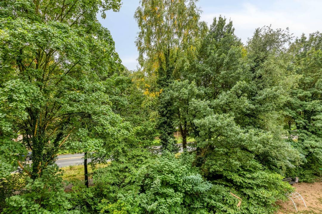 Photo 23 of Van der Hagenstraat 347