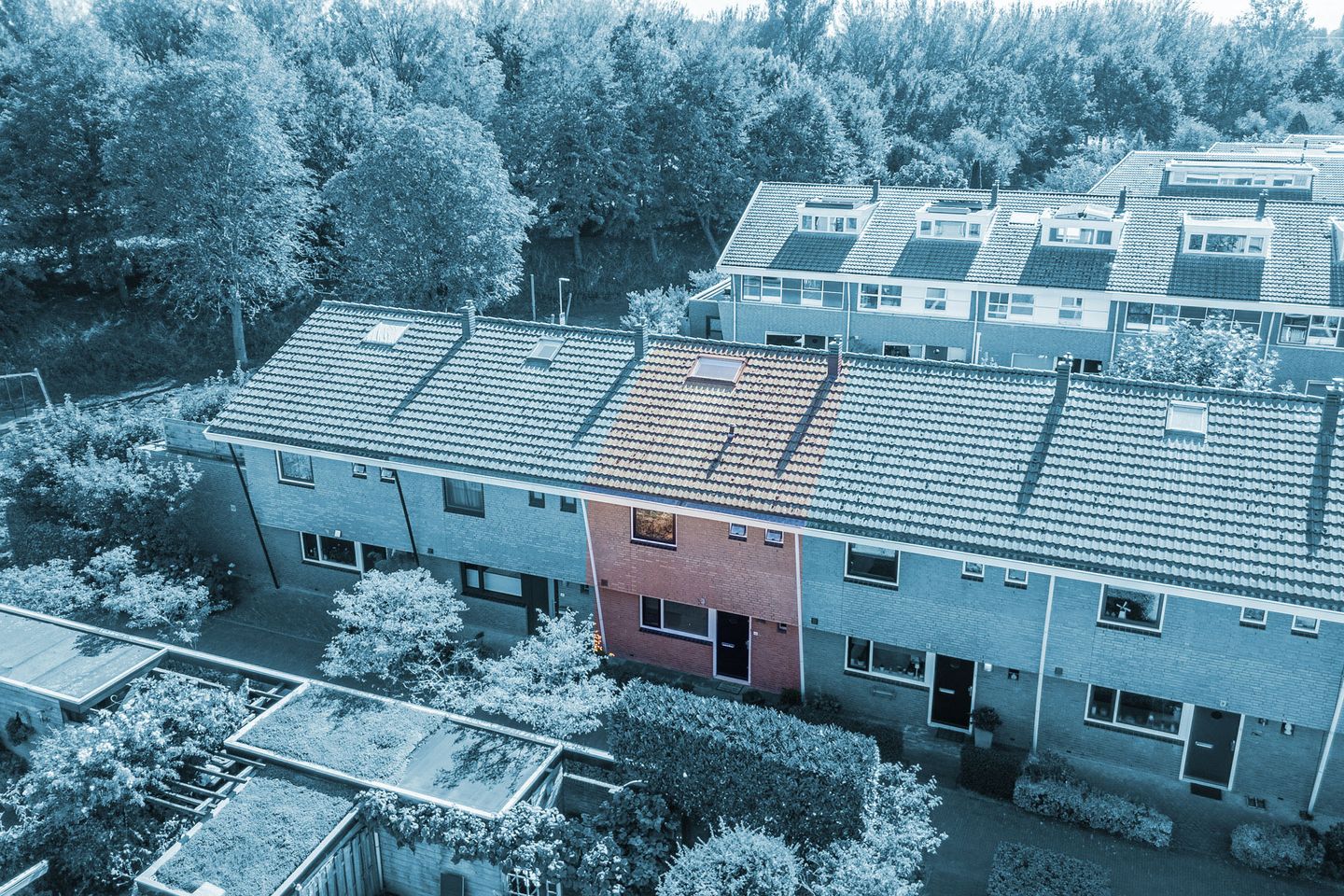 Photo 4 of De Vischkom 15