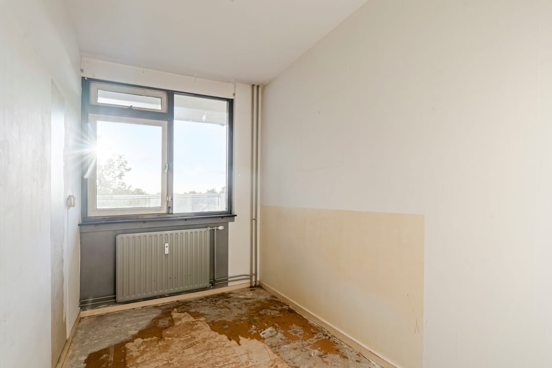 Foto 13 van Frans Halslaan 61