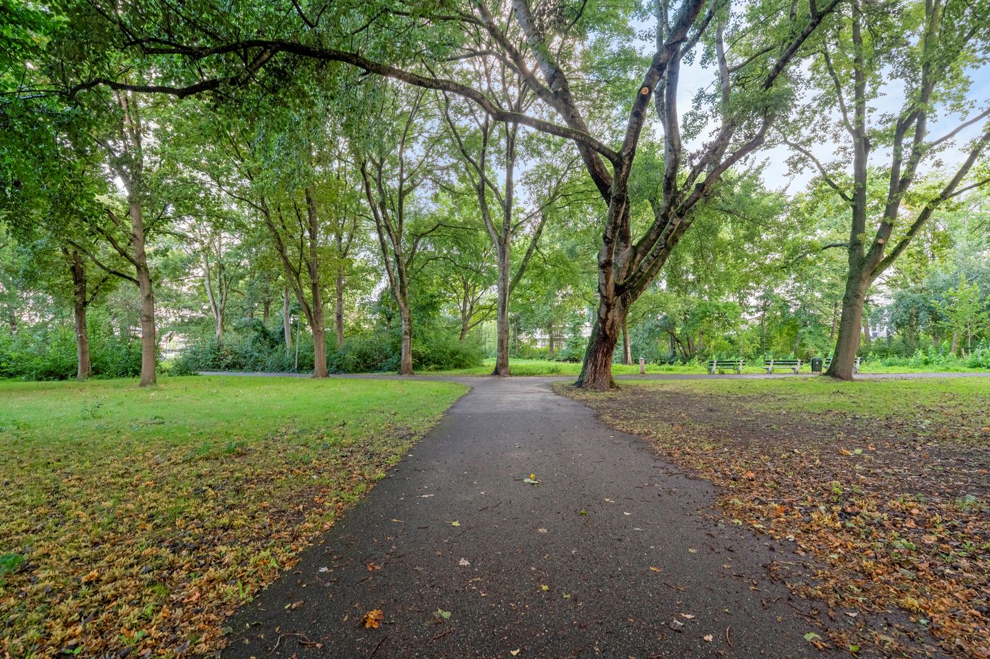 Foto 20 van Frans Halslaan 61