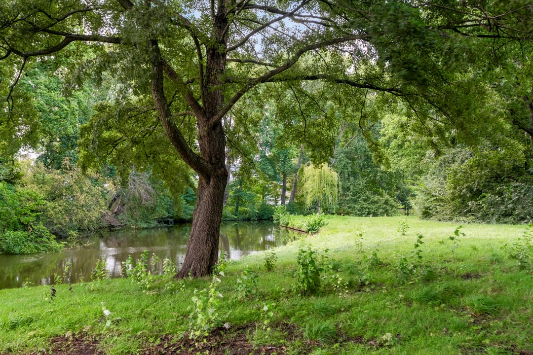 Foto 23 van Frans Halslaan 61