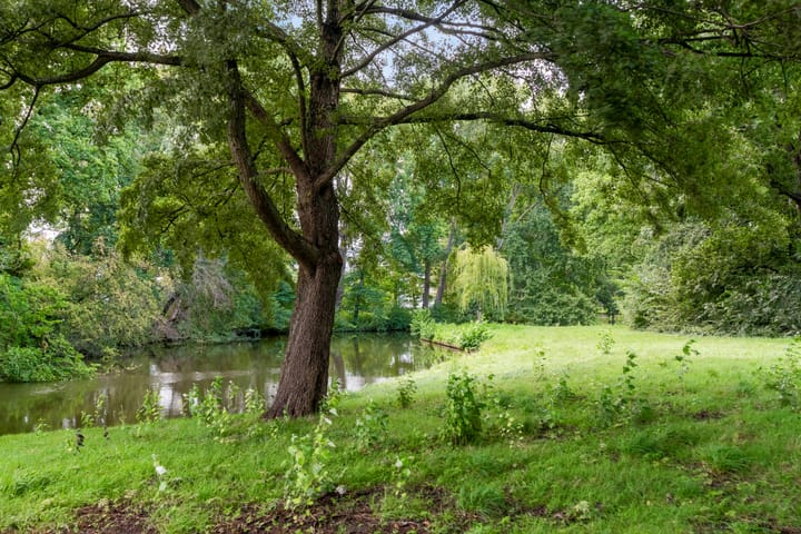 Foto 23 van Frans Halslaan 61