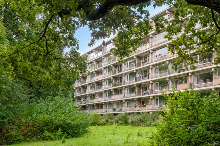 Foto 24 van Frans Halslaan 61