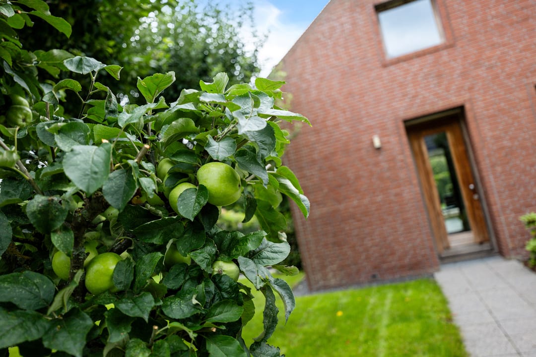 Photo 8 of ter Borchlaan 6