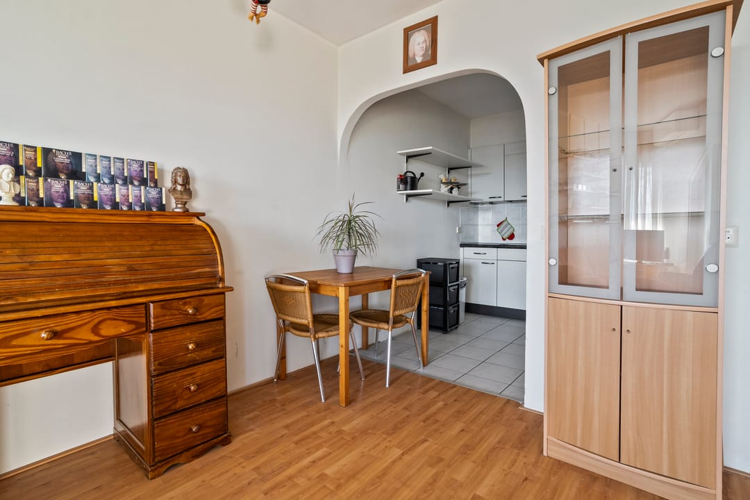 Foto 7 van Straussplein 51