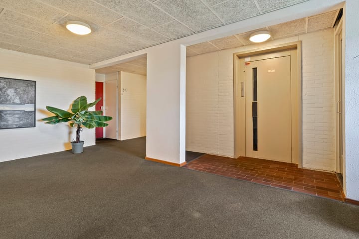 Foto 20 van Straussplein 51