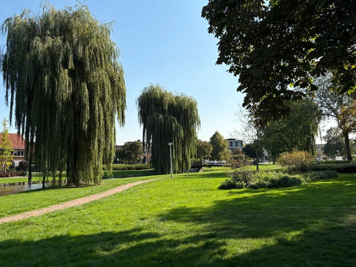 Foto 47 van Burgemeester Doornlaan 24