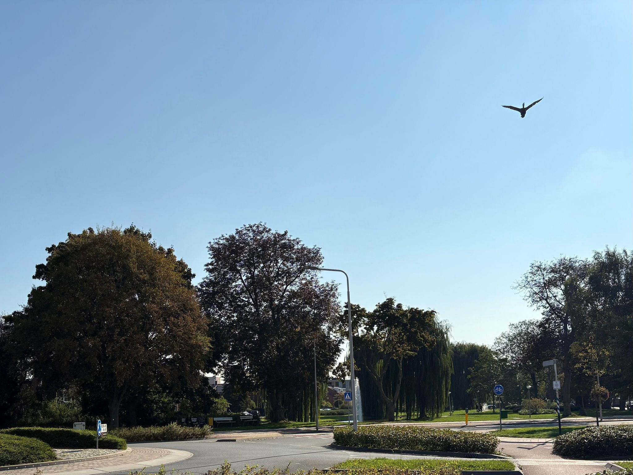 Foto 48 van Burgemeester Doornlaan 24