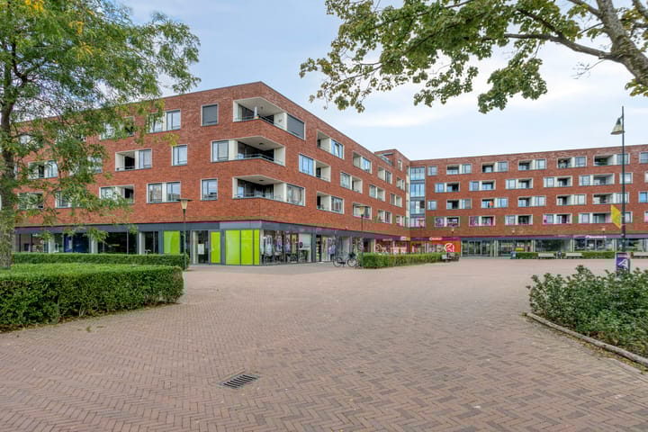 Foto 6 van Dirigentplein 133