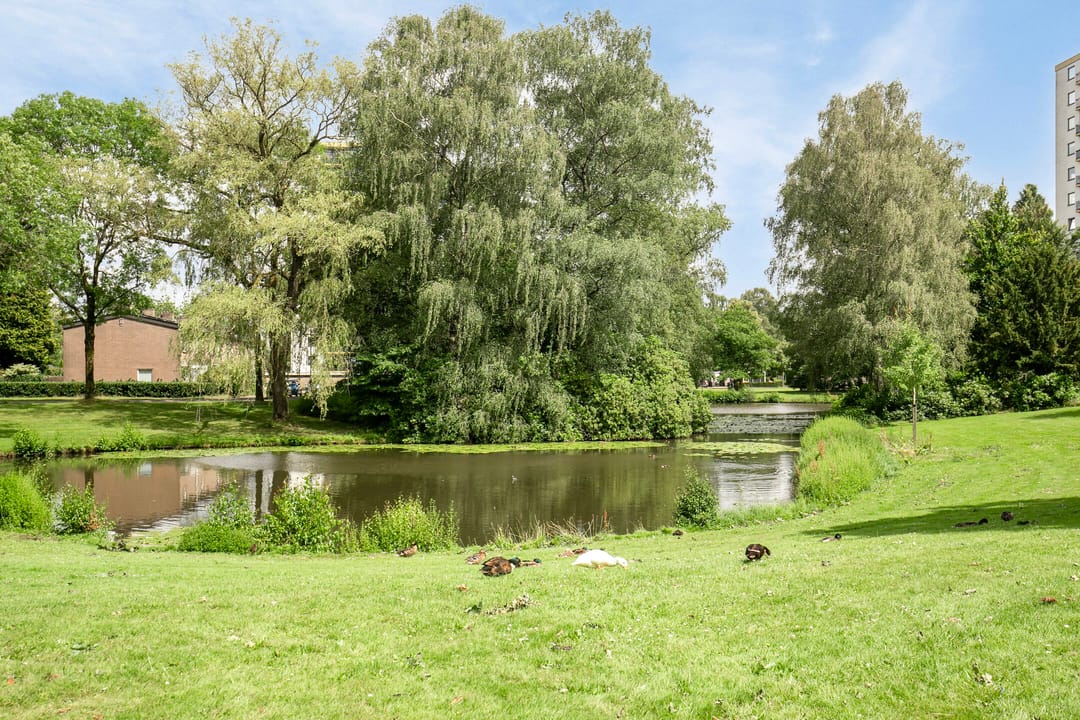 Foto 28 van Pasteurstraat 62