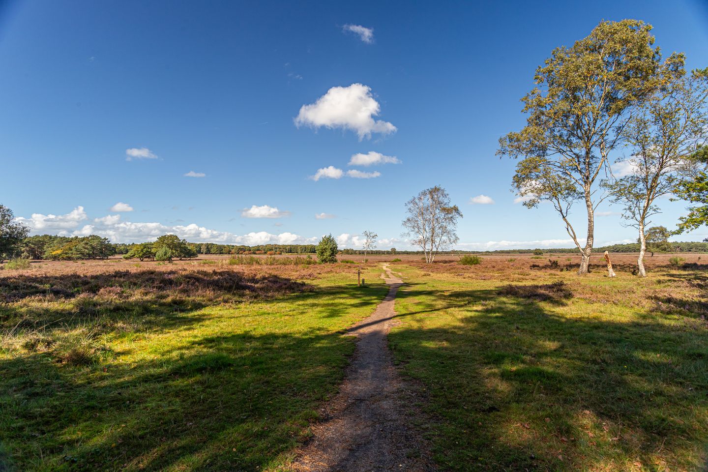 Foto 25 van Jacob van Campenlaan 89