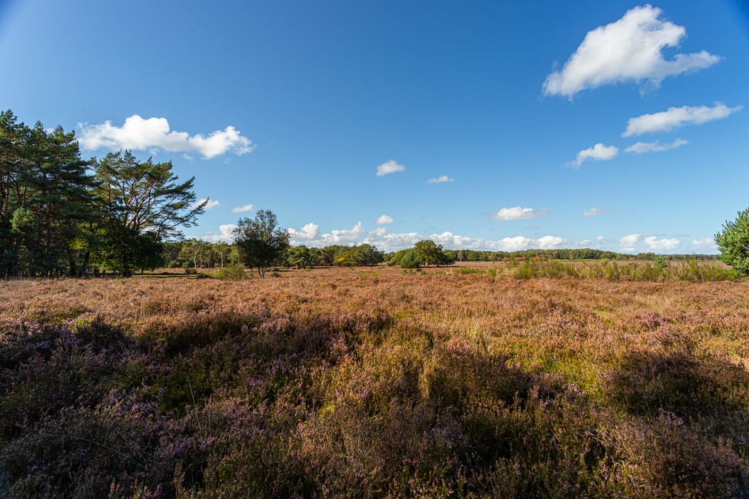 Foto 26 van Jacob van Campenlaan 89