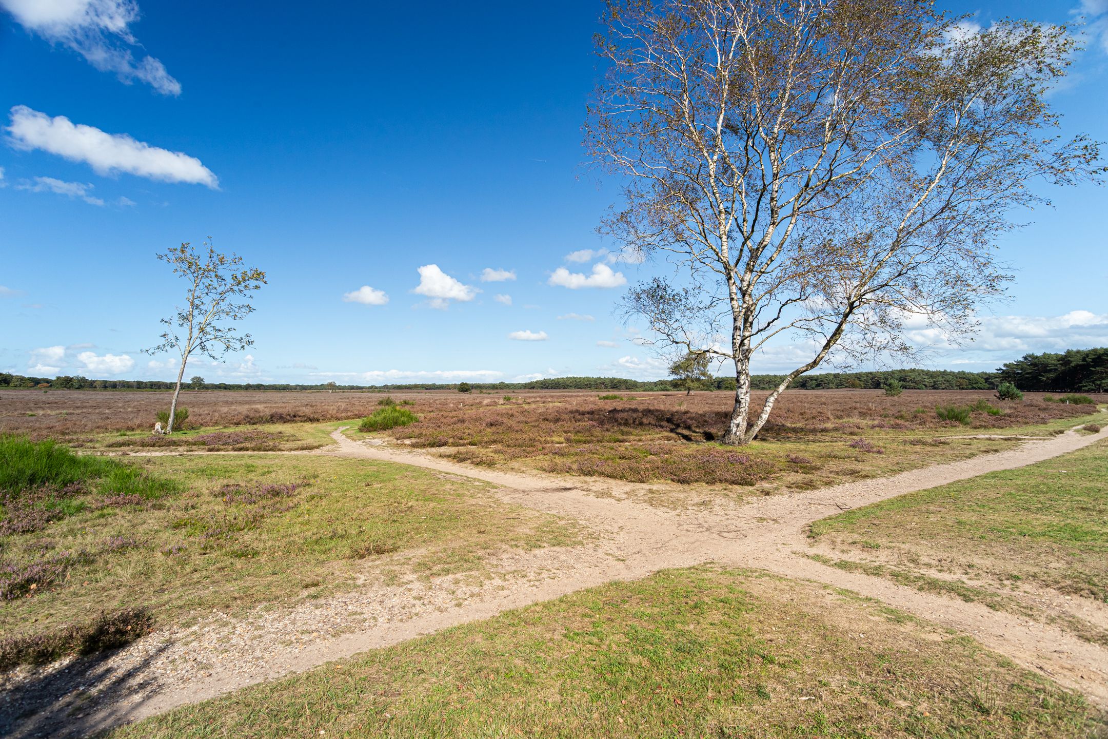 Foto 27 van Jacob van Campenlaan 89